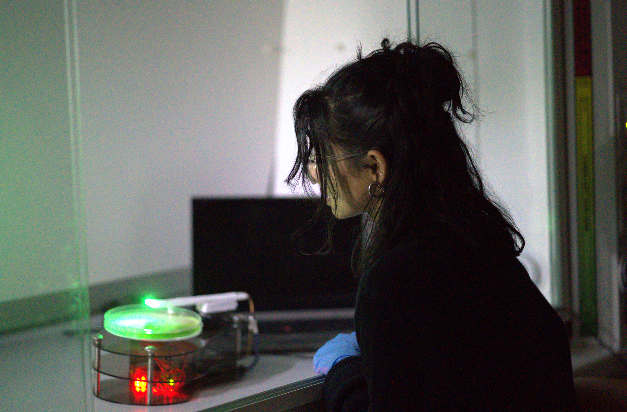 User test