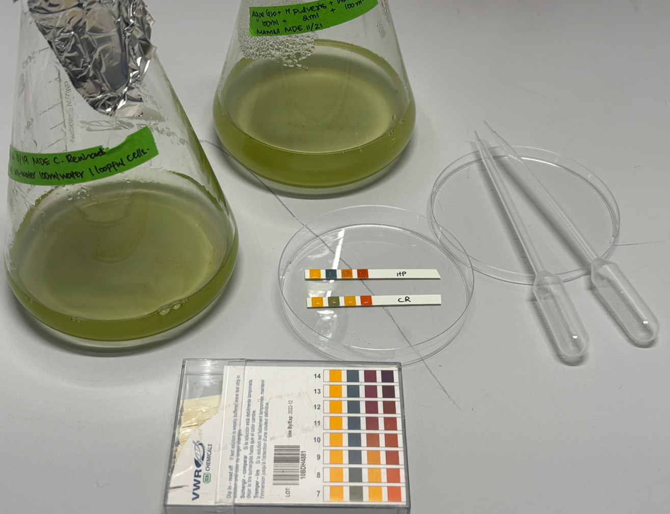 Process 11