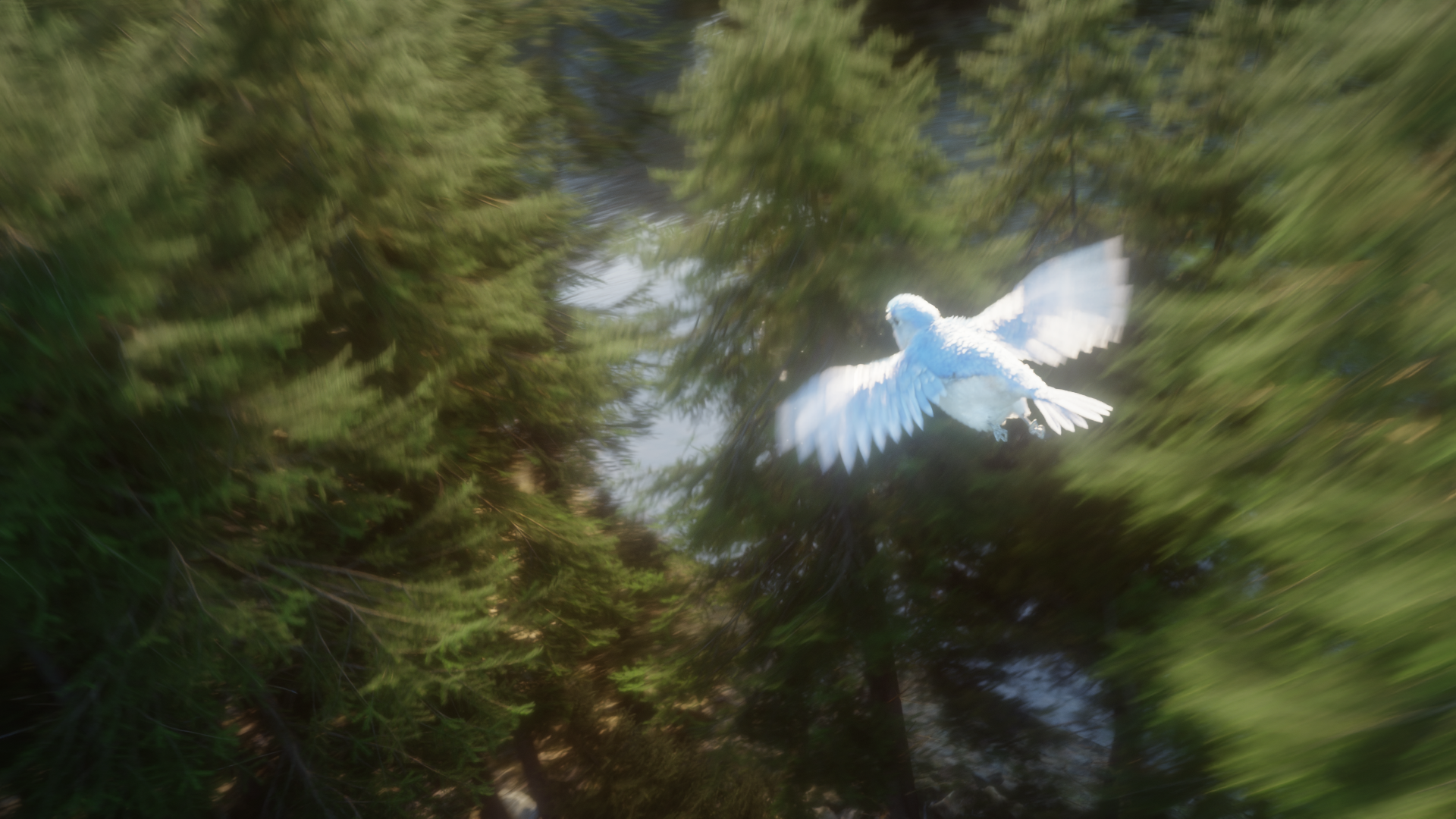 Keyframe 13