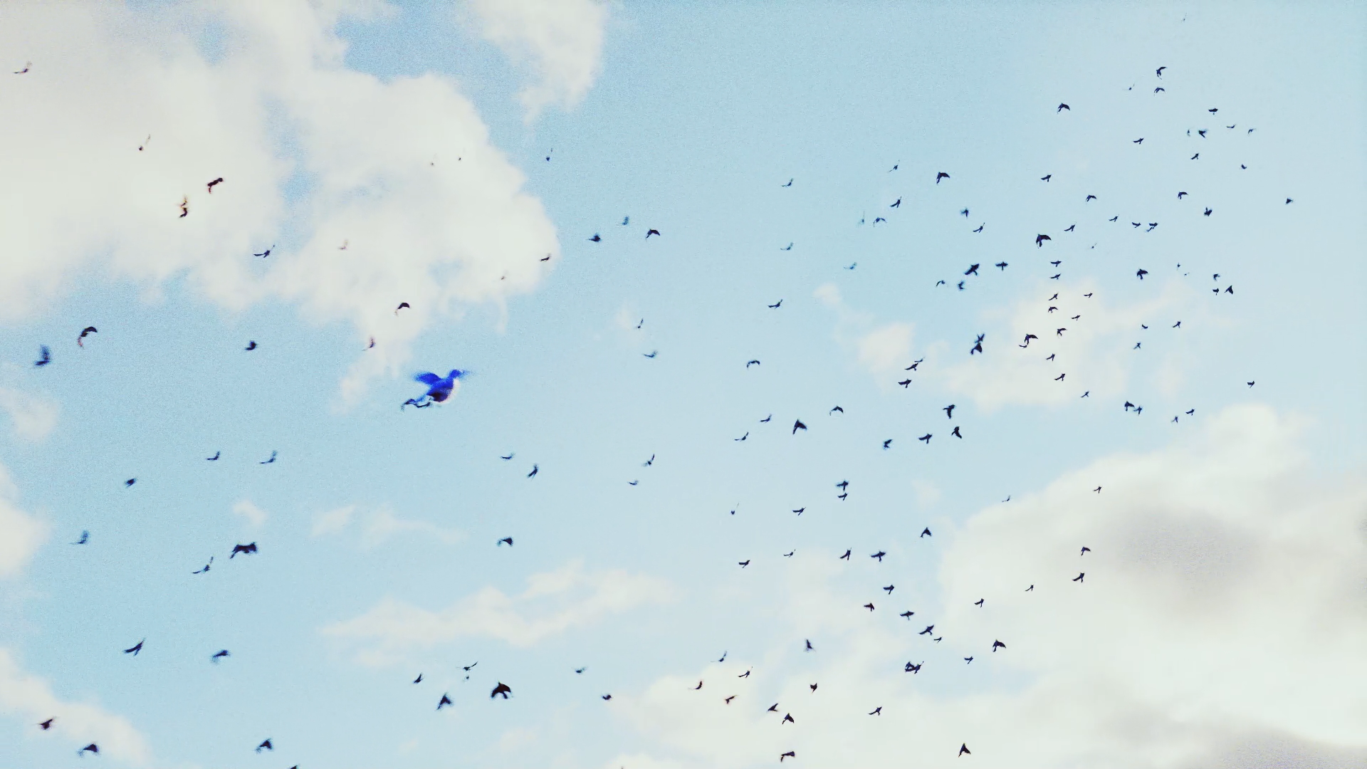 Keyframe 23